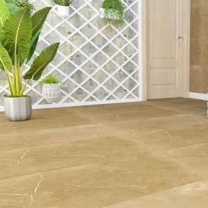 Gạch Ấn Độ HLAD6112103